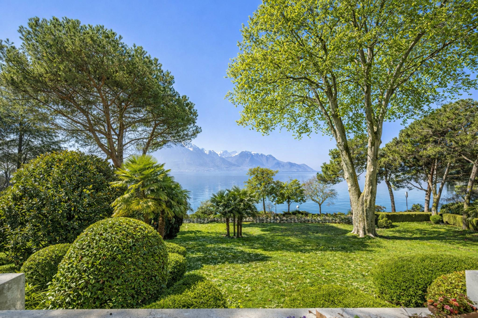Charming apartment on the Quai des Fleurs