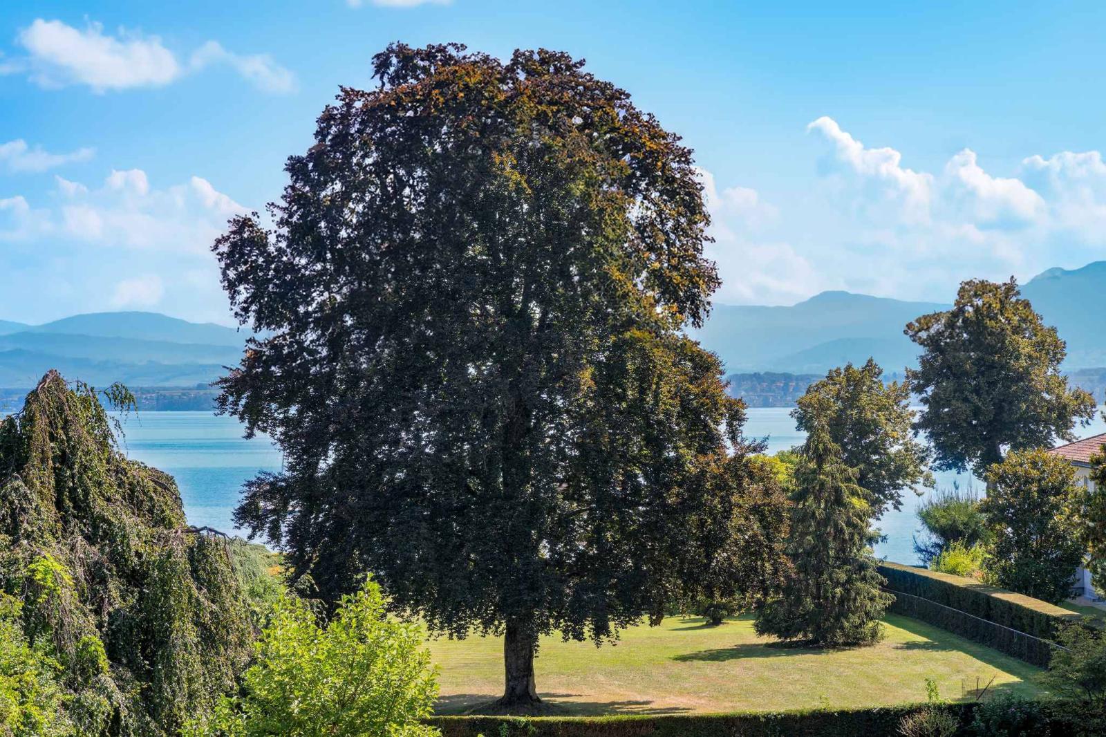 Exceptional property close to Lake Geneva