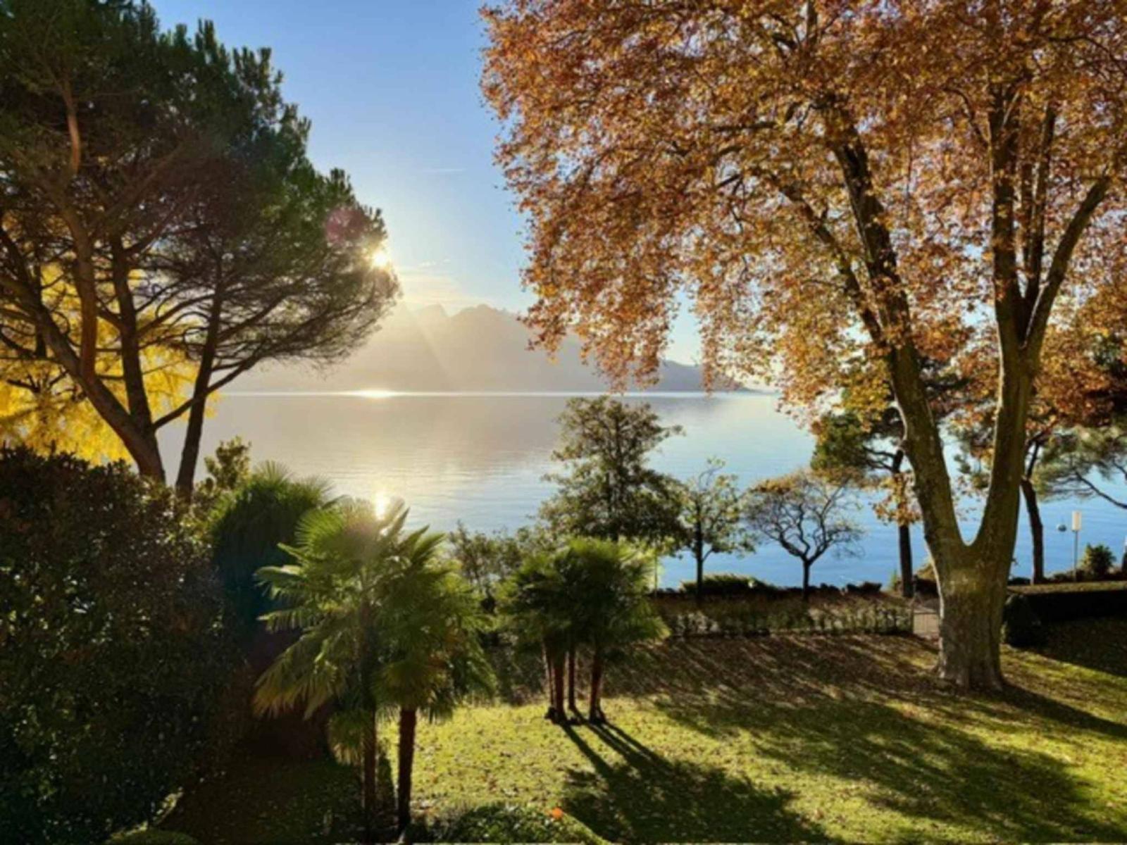 Charming apartment on the Quai des Fleurs